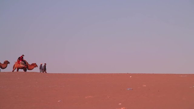 Camel caravan in the Desert, Passing Through