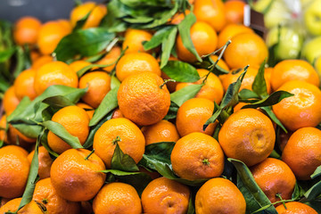 Harvested mandarin