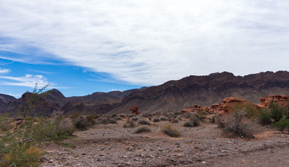 Fototapeta na wymiar Valley Of Fire - National State Park in Desert Near Las Vegas, Nevada USA