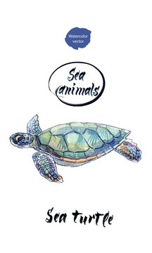 Sea Turtle, Watercolor Hand Drawn Vector Illustration