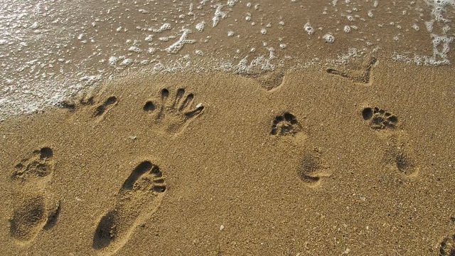 Impressions of hands and feet on the sand. Fingerprints of the parent and child on the sea beach.