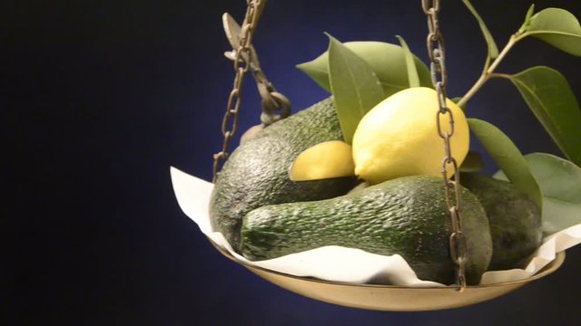 Persea americana Aguacate Avocado Palta Avokado 鳄梨 &Alpha;&beta;&omicron;&kappa;ά&nu;&tau;&omicron; video Smaczliwka wdzięczna Hru&scaron;kovec přelahodn&yacute; Авокадо