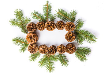 Pine cones festive background with fir branch