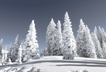 Ridgeline Snow