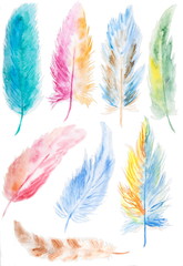 Hand drawn watercolor feather set. isolated on white.
