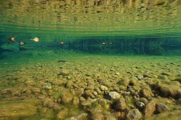 Spain river underwater with pebbles on the riverbed, La Muga near Albanya, Girona, Alt Emporda, Catalonia