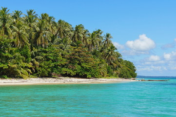 Central America, Panama, wild island coastline with lush tropical vegetation, Bastimentos national marine park, Bocas del Toro