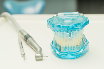 dental model and dental tool in dental clinic
