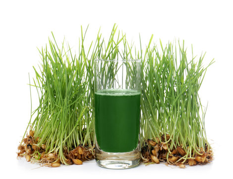 Shot of healthy juice and sprouted wheat grass on white background