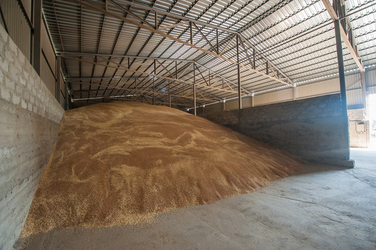 grain storage processing agro elevator