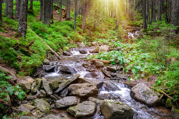Beautiful landscape with mountain stream