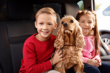 Cute children with dog sitting in car