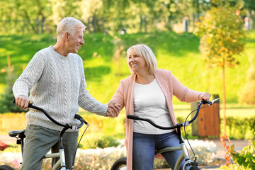 Fototapeta na wymiar Cute elderly couple with bicycles in autumn park