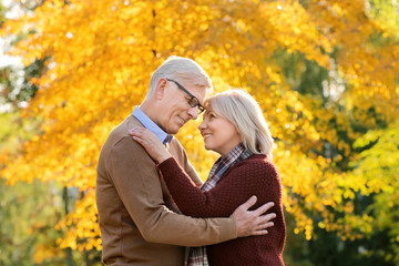 Fototapeta premium Cute elderly couple in autumn park