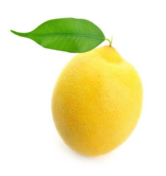 Fresh ripe lemon on white background