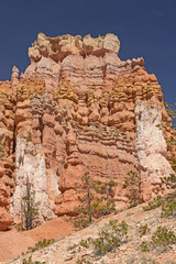 Fototapeta premium Dramatic Colors against a Blue Sky