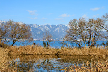 冬の琵琶湖