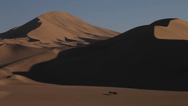 Camel caravan in the Desert, Passing Through