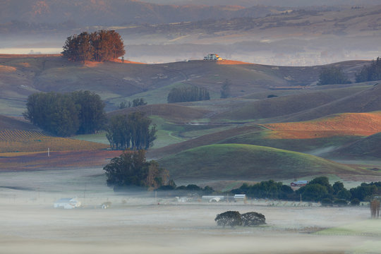 Petaluma Hills