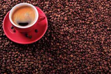 Red coffee cup and saucer one single for espresso or capuccino on a background of scattered dark coffee beans photo
