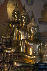 Buddhastatuen im Tempel in Bangkok