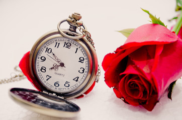 Red Rose and a pocket watch on a napkin embroidered with a cross