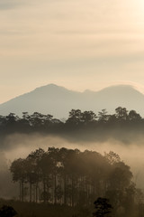 Landscape of sunlight with fog, Thung Salaeng Luang National Park