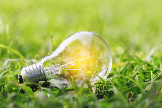 concept eco light bulb on green grass with idea saving power energy