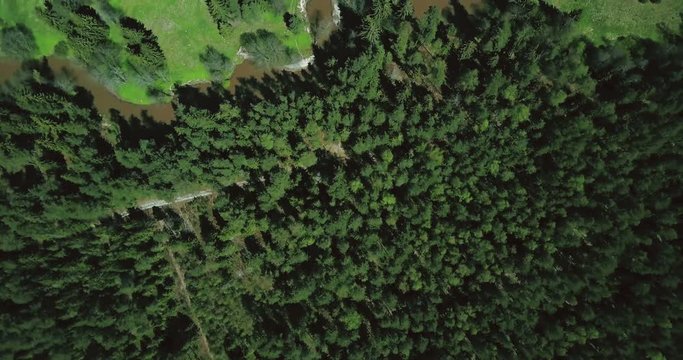 Drone flying over picturesque pastoral scenery. Aerial 4K vertical shot of peaceful forest trees, river and meadows.