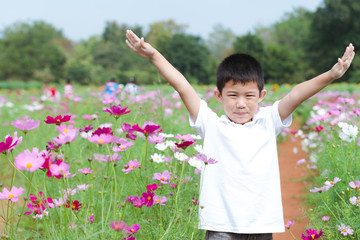 Portrait beautiful happy young boy enjoying smell in a cosmos flowering spring garden © kasipat