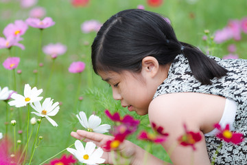Portrait beautiful happy young girl enjoying smell in a cosmos flowering spring garden © kasipat