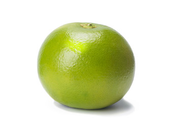 Sweetie green, citrus fruit, isolated on white with shadow