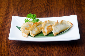 chinese dumplings on the background