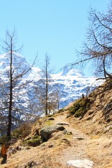 Fototapeta na wymiar Zermatt Hiking Trail