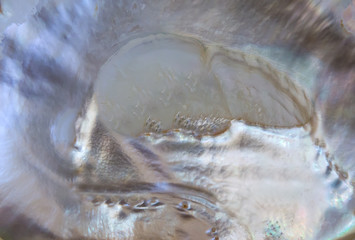 Abstract pattern of pearls