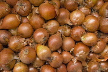 Fresh onions. Onions background. Ripe onions.