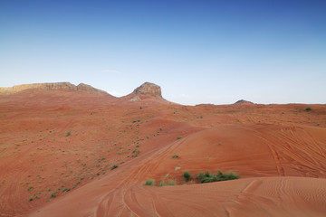 Fototapeta na wymiar Red Sands of The Emirates