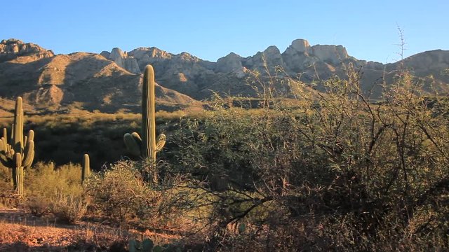 Catalina Mountains in southeast in southern Arizona.