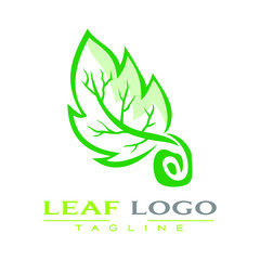 Obraz premium leaf vector logo
