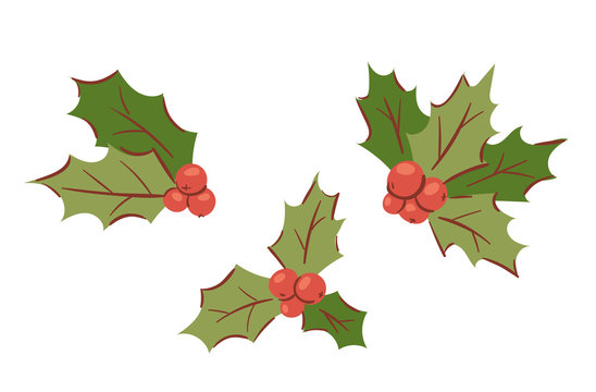Christmas holly berry decoration vector leaves tree set, Xmas traditional Holly Berry symbol leaf icon branch illustration