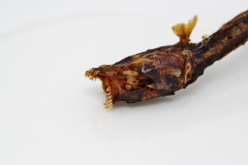 怪物のような姿の魚