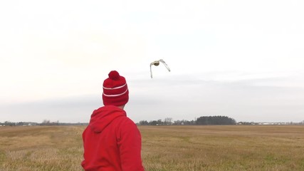 snowy owl conservationist guy releases the bird into the wild 4k slow motion 60fps