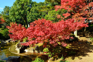 炭鉱王の庭園紅葉
