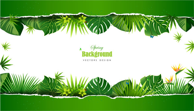 Bright tropical background with jungle plants. Exotic pattern with tropical leaves.