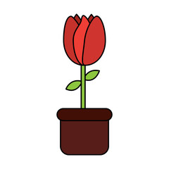 potted tulip flower decoration ornament vector illustration