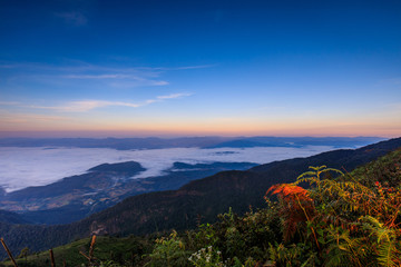 Doy-inthanon, Landscape sea of mist in national park of Chaingmai province  Thailand.