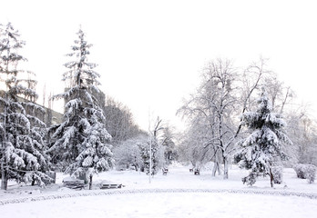 Winter city park. Trees, alleys and benches are covered with heavy snow.