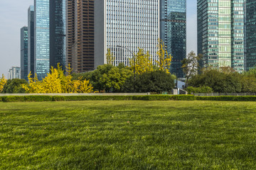 Fototapeta premium beautiful green meadow near modern office building.