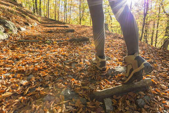 close up of hiking boots on a pathway hidden under the leaves, Val Vigezzo, Verbano Cusio Ossola province, Piedmont, North italy, Italy