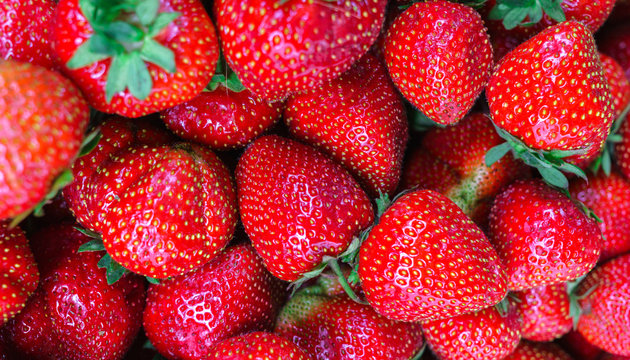 A box full of fresh, ripe, red strawberries.